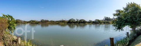 Image 39 - 268248